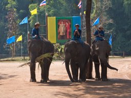 Thailand2009-Elephant_School-005